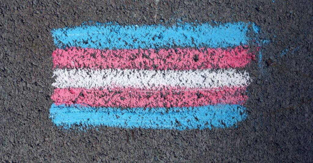 Chalk drawing of light blue, pink and white trans rights flag